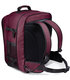 Plum Convertible Carry-On